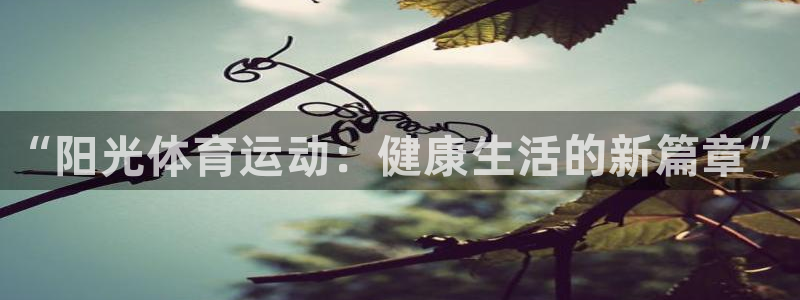 oety欧亿：“阳光体育运动：健康生活的新篇章”