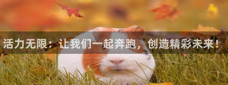 oety欧亿：活力无限：让我们一起奔跑，创造精彩未来！