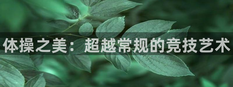 oety欧亿：体操之美：超越常规的竞技艺术