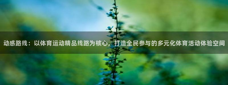 oety欧亿：动感路线：以体育运动精品线路为核心，打造全民参与的多元化体育活动体验空间