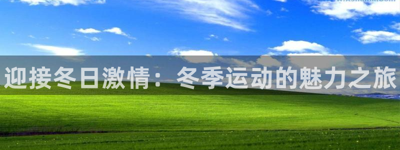 oety欧亿