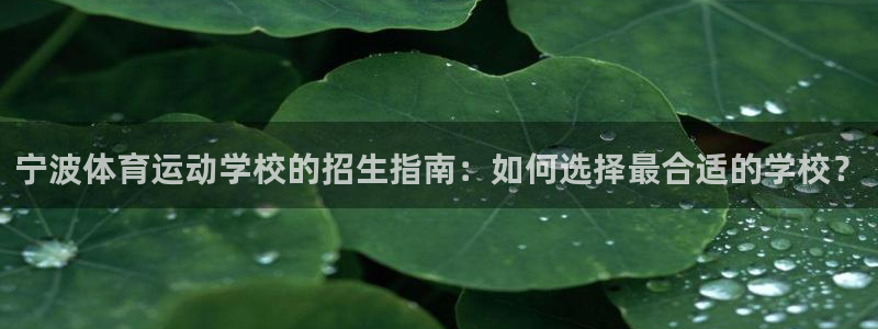 oety欧亿：宁波体育运动学校的招生指南：如何选择最合适的学校？