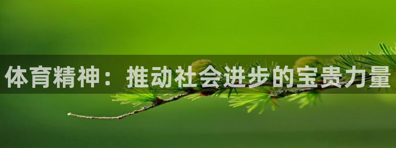 oety欧亿：体育精神：推动社会进步的宝贵力量