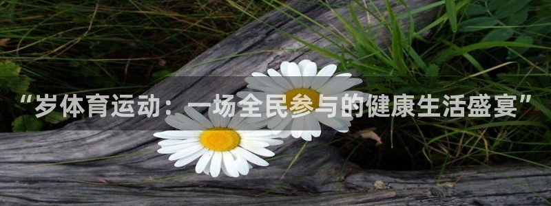 oety欧亿：“岁体育运动：一场全民参与的健康生活盛宴”