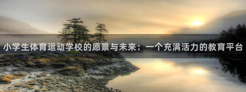 oety欧亿：小学生体育运动学校的愿景与未来：一个充满活力的教育平台