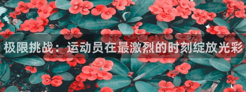 oety欧亿：极限挑战：运动员在最激烈的时刻绽放光彩