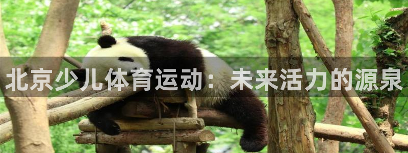 oety欧亿：北京少儿体育运动：未来活力的源泉