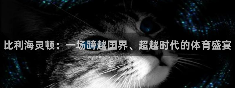 oety欧亿：比利海灵顿：一场跨越国界、超越时代的体育盛宴