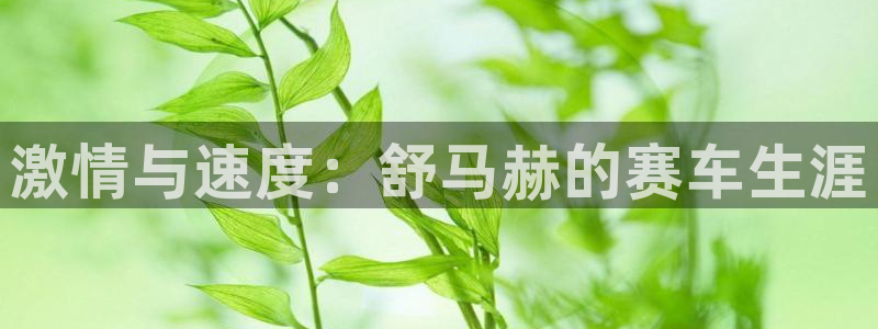 oety欧亿：激情与速度：舒马赫的赛车生涯