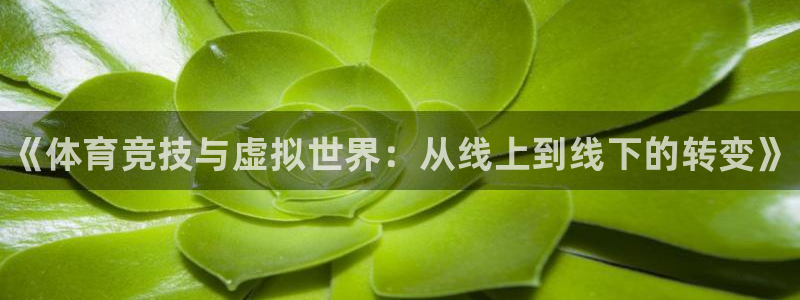 oety欧亿：《体育竞技与虚拟世界：从线上到线下的转变》