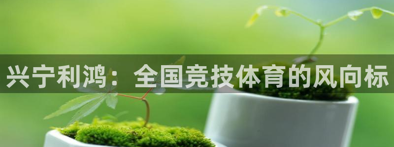 oety欧亿：兴宁利鸿：全国竞技体育的风向标