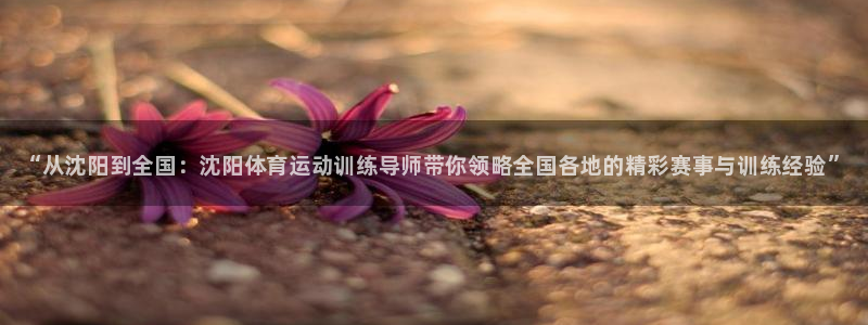 oety欧亿：“从沈阳到全国：沈阳体育运动训练导师带你领略全国各地的精彩赛事与训练经验”