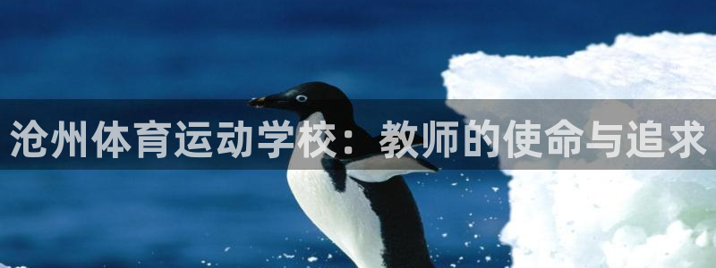 oety欧亿：沧州体育运动学校：教师的使命与追求