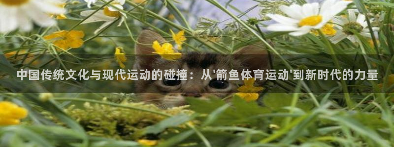 oety欧亿：中国传统文化与现代运动的碰撞：从\'箭鱼体育运动\'到新时代的力量