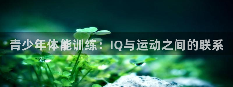 oety欧亿：青少年体能训练：IQ与运动之间的联系