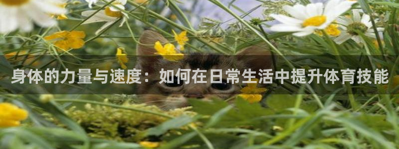 oety欧亿：身体的力量与速度：如何在日常生活中提升体育技能
