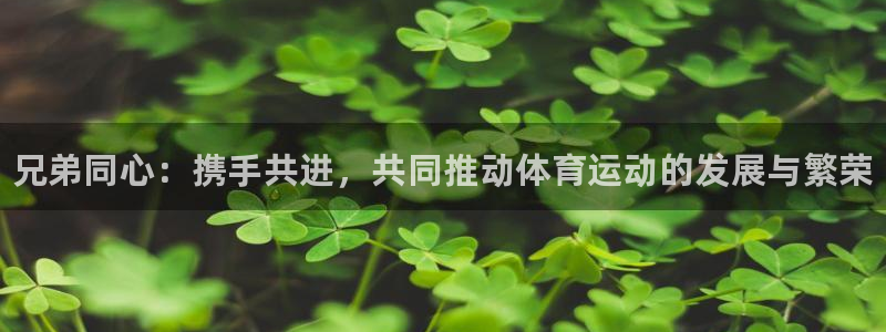 oety欧亿：兄弟同心：携手共进，共同推动体育运动的发展与繁荣