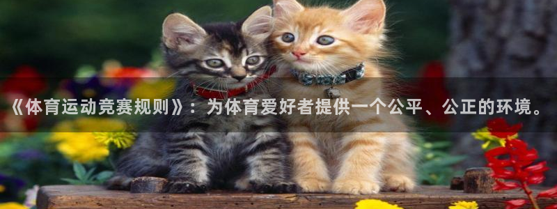 oety欧亿：《体育运动竞赛规则》：为体育爱好者提供一个公平、公正的环境。