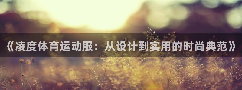 oety欧亿：《凌度体育运动服：从设计到实用的时尚典范》