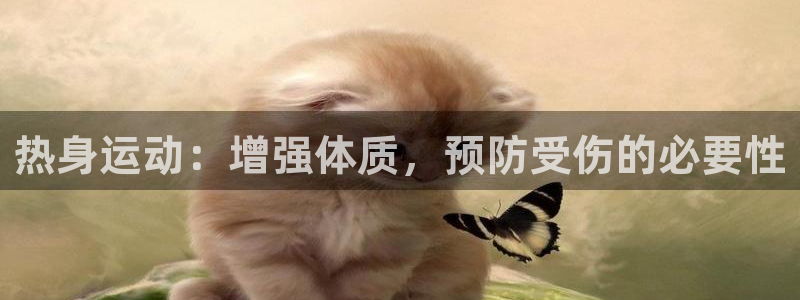 oety欧亿：热身运动：增强体质，预防受伤的必要性